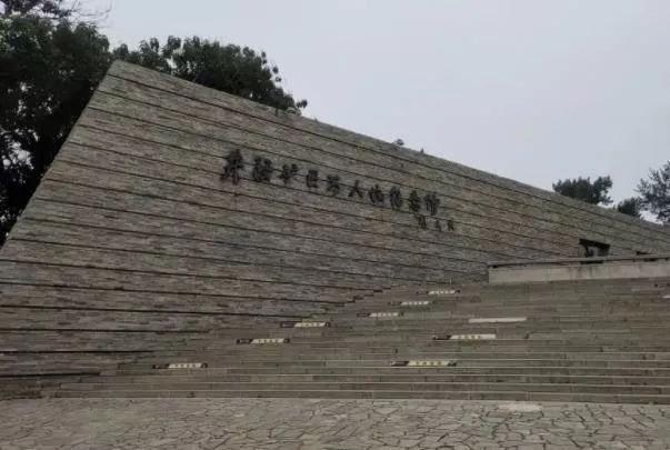 東方巨龜苑附近景區有哪些